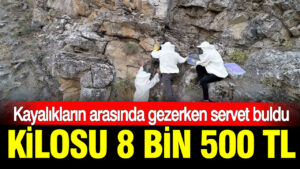 haber-gorseli-1786371769349