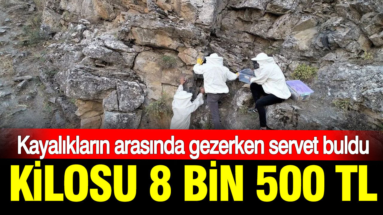 haber-gorseli-1786371769349